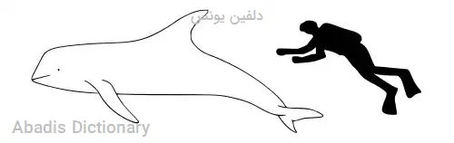 دلفین یونس
